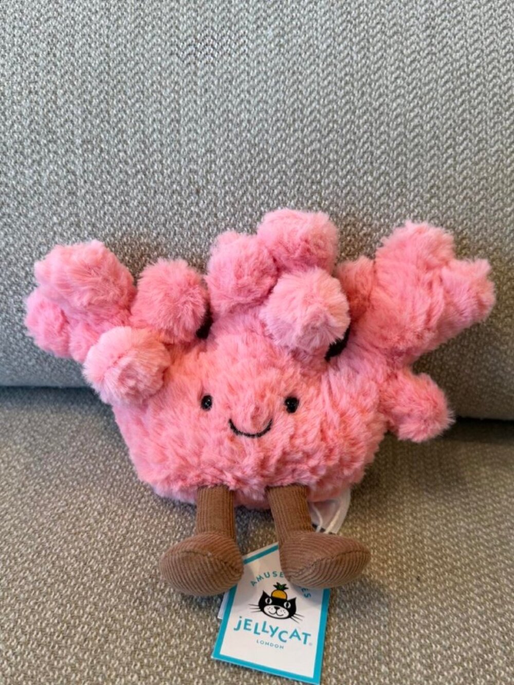 BNWT sweet face Jellycat coral 🪸 (free plastic tag protector will be attached